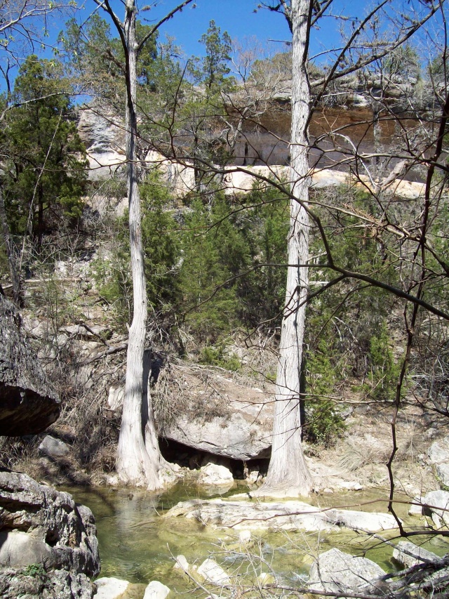 2010-03-12-Hamilton Pool-02.jpg